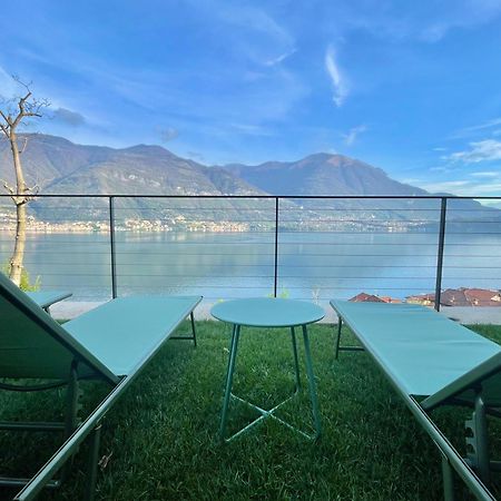 Il Noce Lake View Apartment Lezzeno Exterior photo